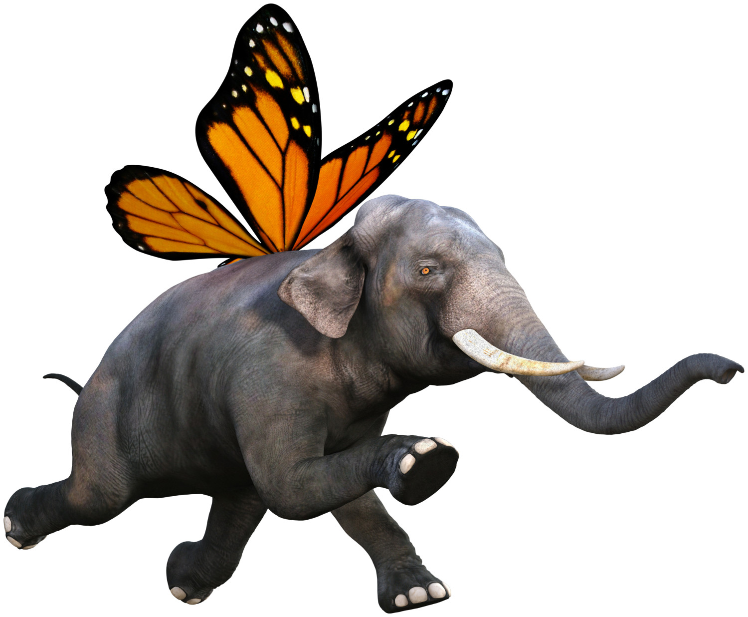 Слон с крыльями бабочки